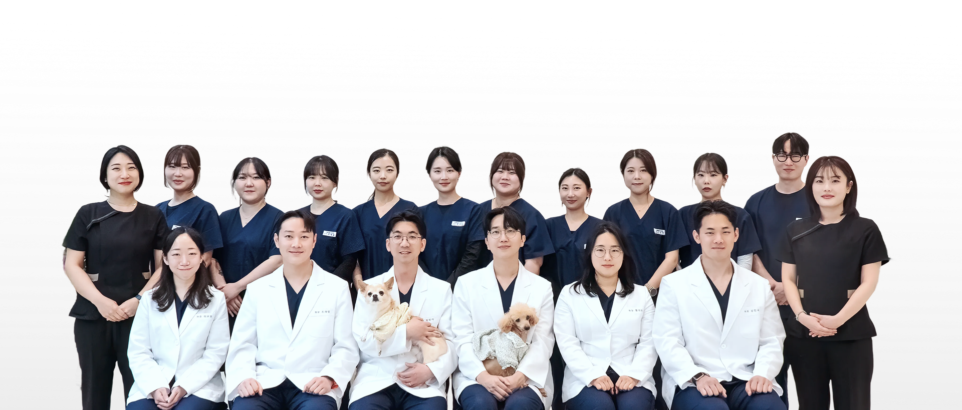 의료진 단체 사진